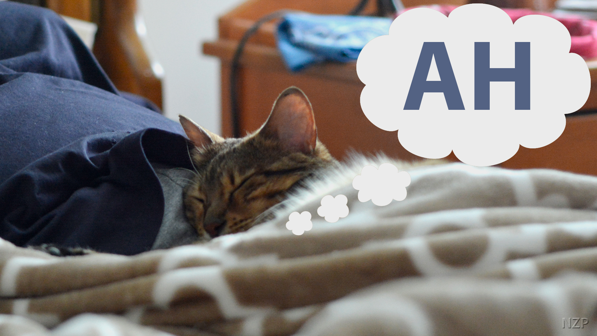 Bengal Cat laying under covers on moms legs with caption that says, 'Ah'