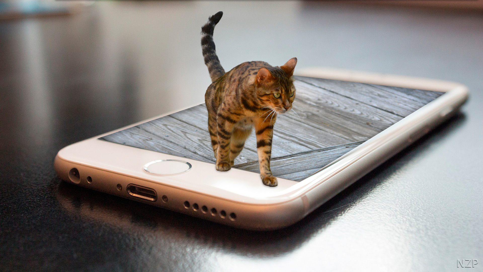 Bengal Cat walking out of a cell phone.