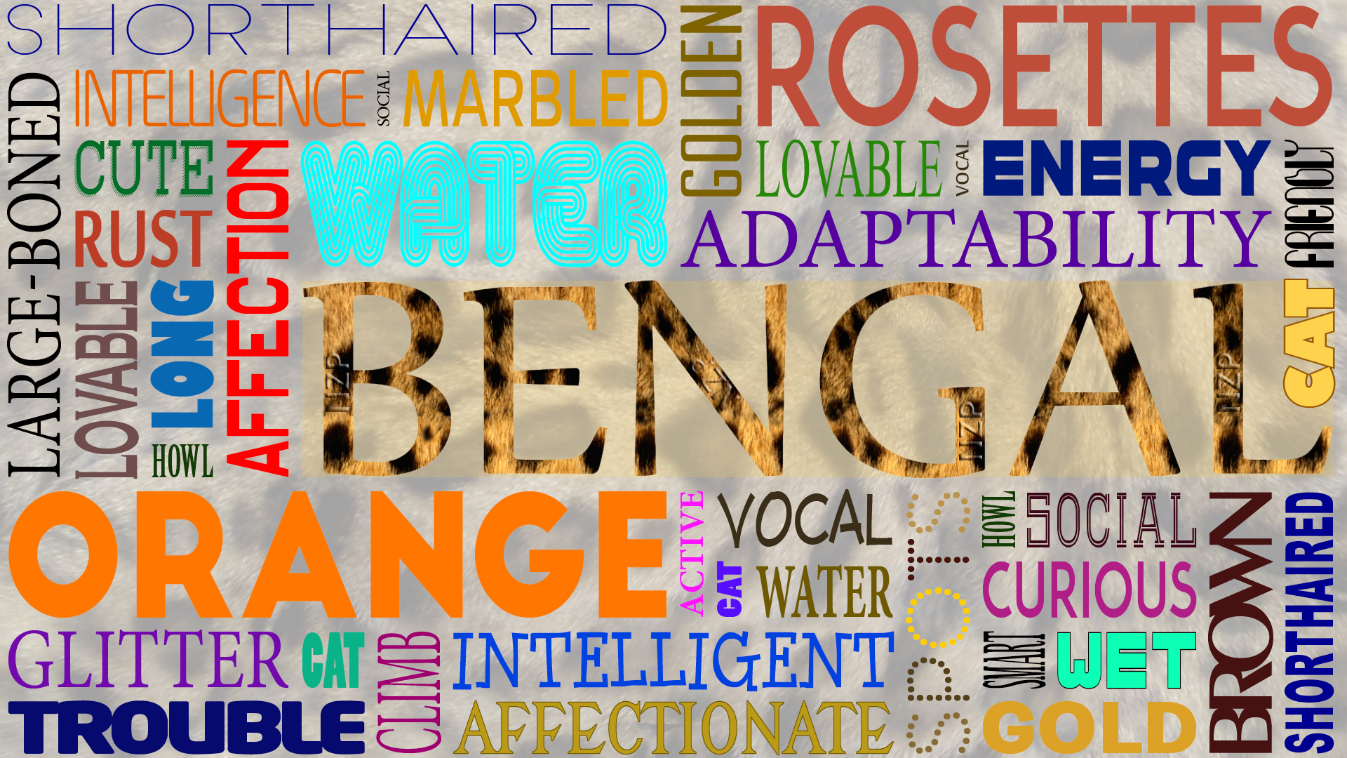 Bengal Cat Wordle.